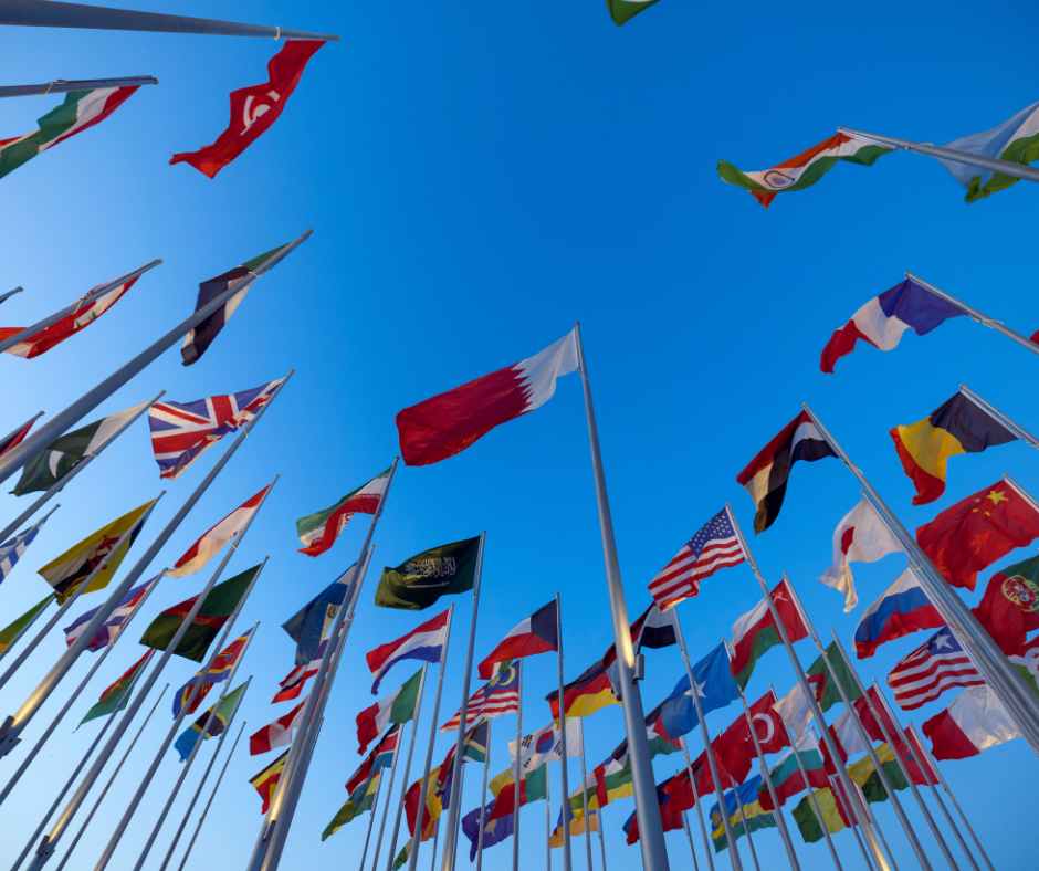 Global product manager reviewing international health product regulations and packaging – Pharma Gate Solutions