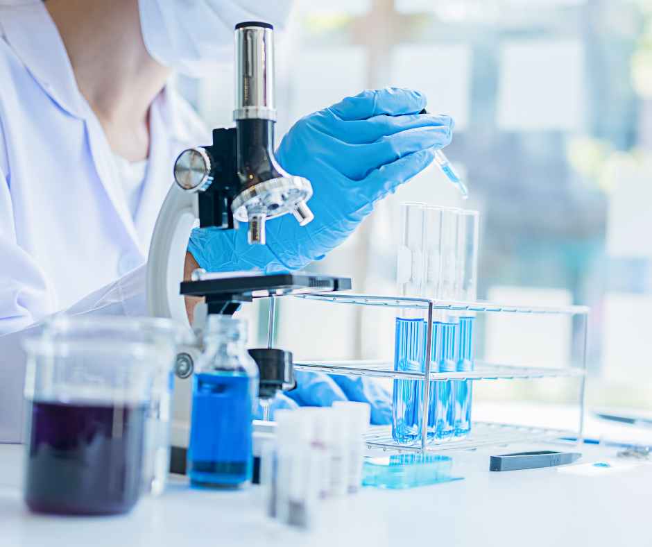 Building Innovative Health Products, Formulator and brand strategist reviewing supplement product development roadmap